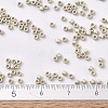MIYUKI Delica Beads SEED-X0054-DB0335-2