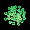 Luminous Transparent Acrylic Beads TACR-Q013-07B-5