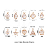 Alloy Cubic Zirconia Charms ZIRC-CJ0001-02LG-2