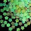 Luminous Transparent Acrylic Beads OACR-B031-14-3