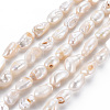 Natural Keshi Pearl Beads Strands PEAR-S021-082B-01-1