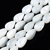 Natural Trochid Shell/Trochus Shell Beads Strands SSHEL-S266-022-1