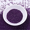 MIYUKI Delica Beads SEED-X0054-DB0281-2