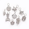 Tibetan Style Alloy Pendants PALLOY-F224-02AS-1