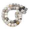 Natural Botswana Agate Beads Strands G-K245-C17-3