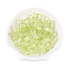 Baking Paint Transparent Glass Beads DGLA-N005-01A-06-1