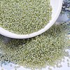 MIYUKI Round Rocailles Beads SEED-JP0008-RR0359-1