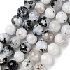 Natural Rainbow Moonstone Beads Strands G-Q1001-A05-04-1