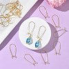 SHEGRACE Brass Kidney Ear Wire XGR0004G-43G-5