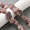Natural Strawberry Quartz Beads Strands G-S386-C13-1
