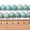 Natural Amazonite Beads Strands G-K068-03-10mmA-3