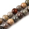 Natural Picture Jasper Beads Strands G-S390-07-8mm-2