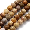 Natural Fossil Coral Beads Strands G-G763-12-14mm-4