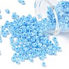 DIY Craft Beads 6/0 Ceylon Round Glass Seed Beads X-SEED-A011-4mm-143-1