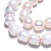 Natural Cultured Freshwater Pearl Beads Strands PEAR-N012-10E-5