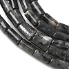 Natural Larvikite Beads Strands G-B091-A20-01-4
