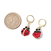 Glass Seed Beads Dangle Earrings EJEW-MZ00329-3