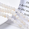 Natural Crackle Agate Beads Strands G-S359-240B-1-3
