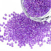 8/0 Glass Seed Beads SEED-A016-3mm-213-01-1