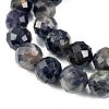 Natural Iolite Beads Strands G-C127-A05-05-3