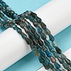 Natural Apatite Beads Strands G-C080-B06-01-4