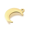 304 Stainless Steel Charms STAS-U027-10G-04-2