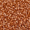 MIYUKI Delica Beads X-SEED-J020-DB1804-2