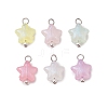 Luminous Acrylic Charms PALLOY-JF03320-02-1