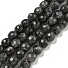 Natural Larvikite Beads Strands G-E571-A09-01-1