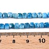 Natural Apatite Beads Strands G-N342-122-5