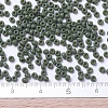 MIYUKI Round Rocailles Beads SEED-G007-RR0501-4