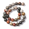 Natural Alashan Agate Beads Strands G-H343-D05-12mm-A-3