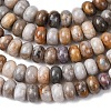 Natural Gobi Agate Beads Strands G-F668-07-A-4