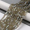 Transparent Glass Beads Strands X1-EGLA-A034-T4mm-MB16-2