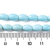 Natural Howlite Beads Strands G-H025-02A-5