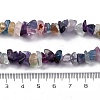 Natural Fluorite Chip Bead Strands G-M205-08-4