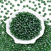 Transparent Glass Seed Beads SEED-N007-33B-08-2