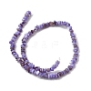 Natural Freshwater Shell Beads SHEL-B003-01L-2