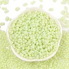 Baking Paint Glass Seed Beads SEED-L011-09A-21-2