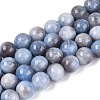 Natural Quartz Beads Strands G-N363-10mm-01-2
