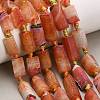 Natural Weathered Agate Beads Strands G-A321-F02-01B-1