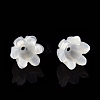 Natural White Shell Bead Caps SSHEL-N032-58A-4