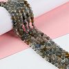 Natural Labradorite Beads Strands G-D0003-A94-2