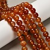 Dyed Natural Red Agate Beads Strands G-G203-10H-10mm-1