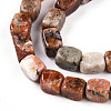 Natural Brecciated Jasper Beads Strands G-T141-30-3