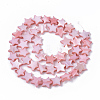 Freshwater Shell Beads Strands SHEL-T014-009F-2