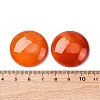 Natural Agate Cabochons G-K348-08B-02-3