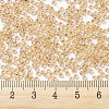 MIYUKI Round Rocailles Beads SEED-G007-RR1003-4