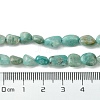 Natural Amazonite Beads Strands G-Z034-D06-01-5