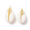 Natural Cowrie Shell Pendants PALLOY-JF03316-05-1